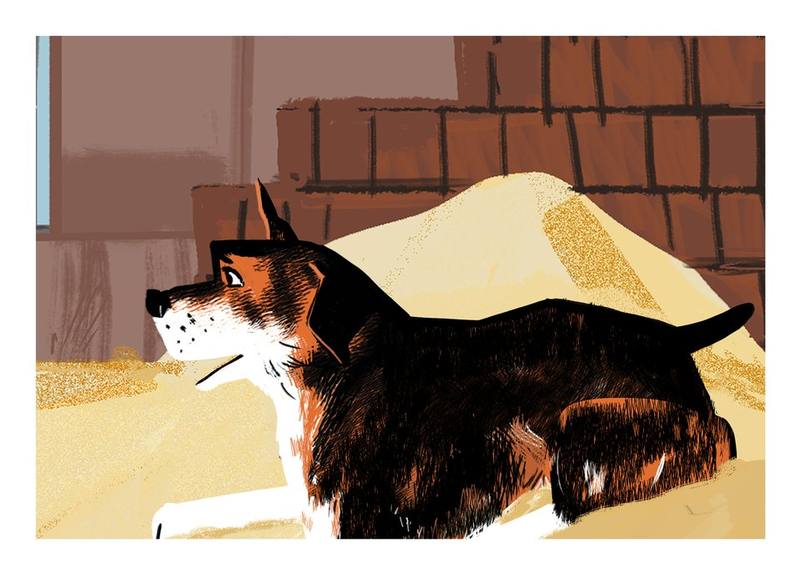 Picture for page 14