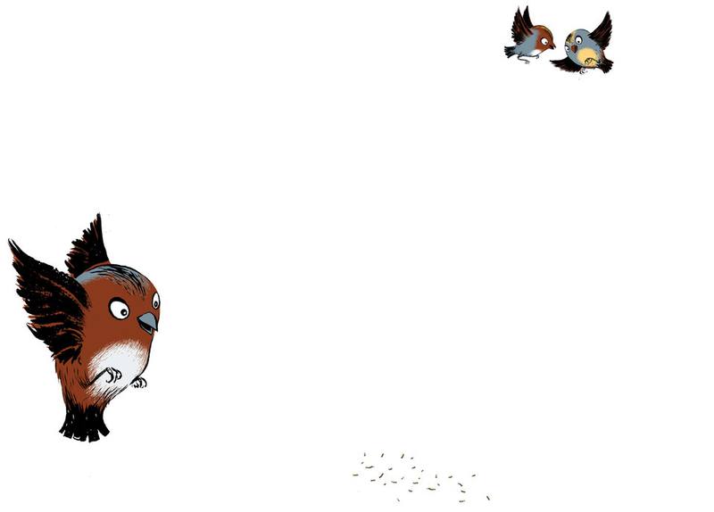 Picture for page 16