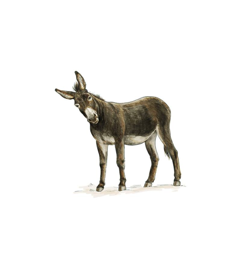 Picture for page 4