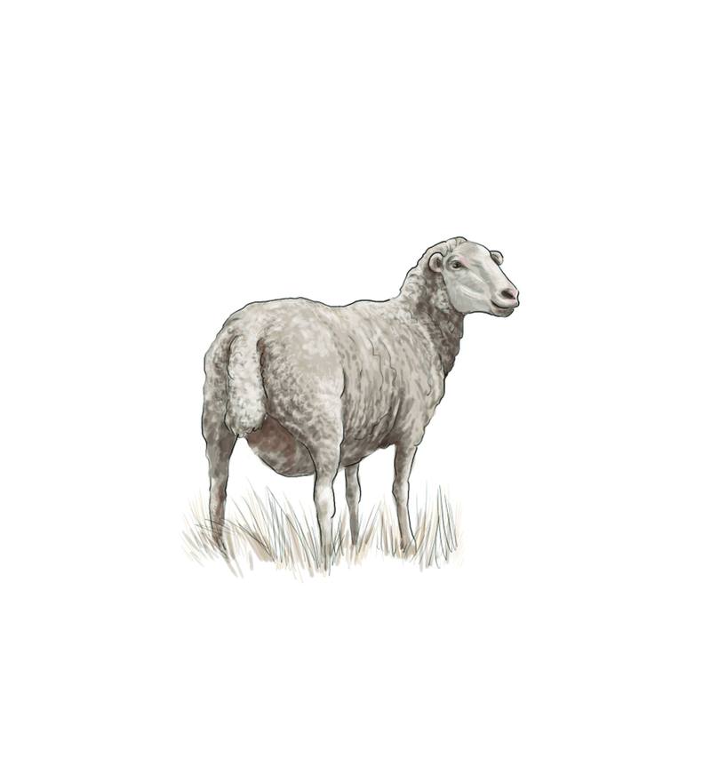 Picture for page 7