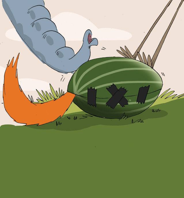 Picture for page 14