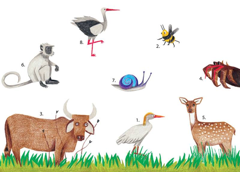 Picture for page 12