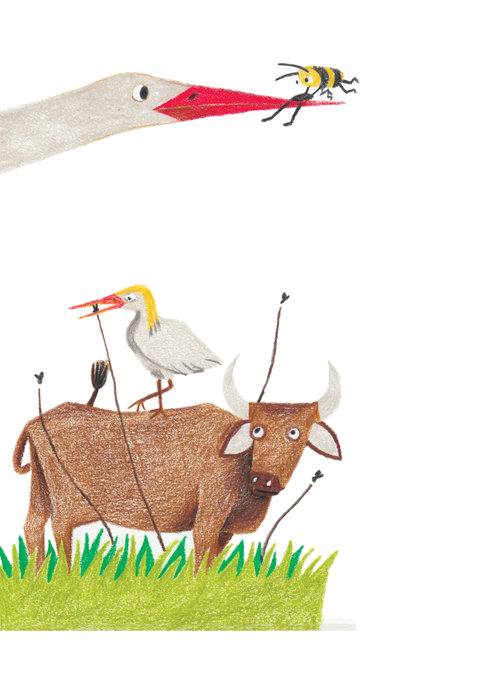 Picture for page 13