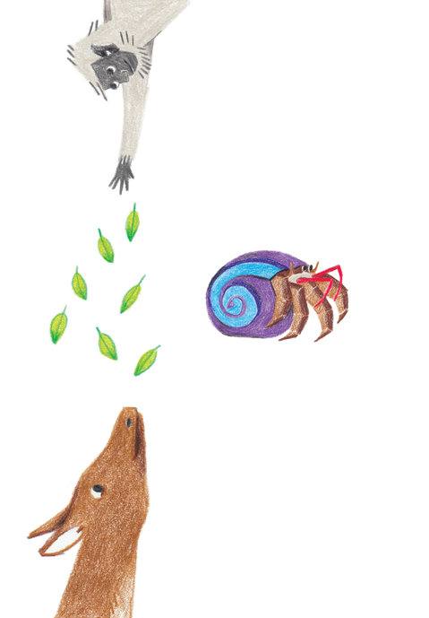 Picture for page 14