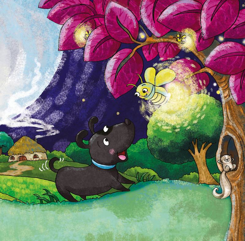 Picture for page 4