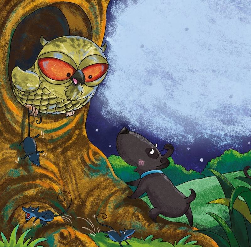 Picture for page 7