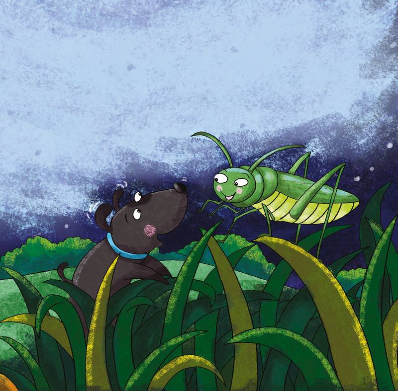Picture for page 8
