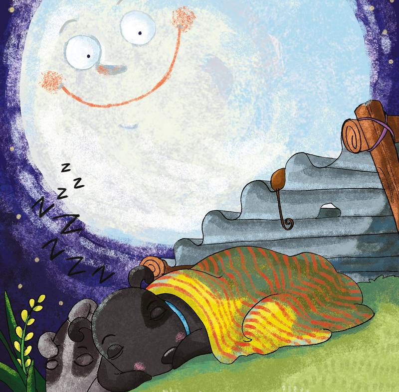 Picture for page 11