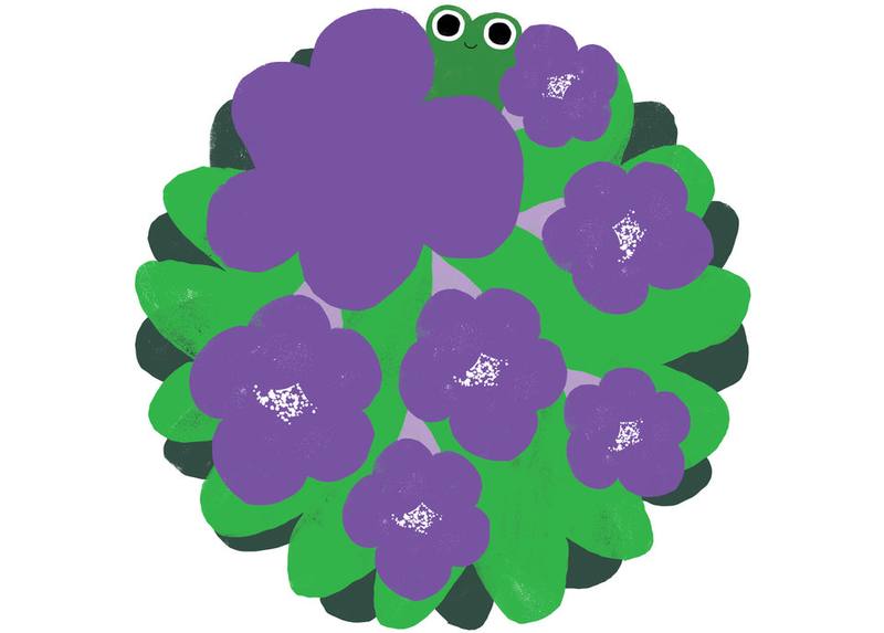Picture for page 4