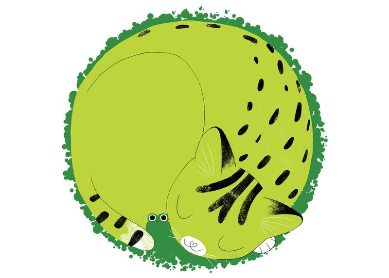 Picture for page 5