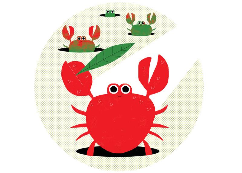 Picture for page 6