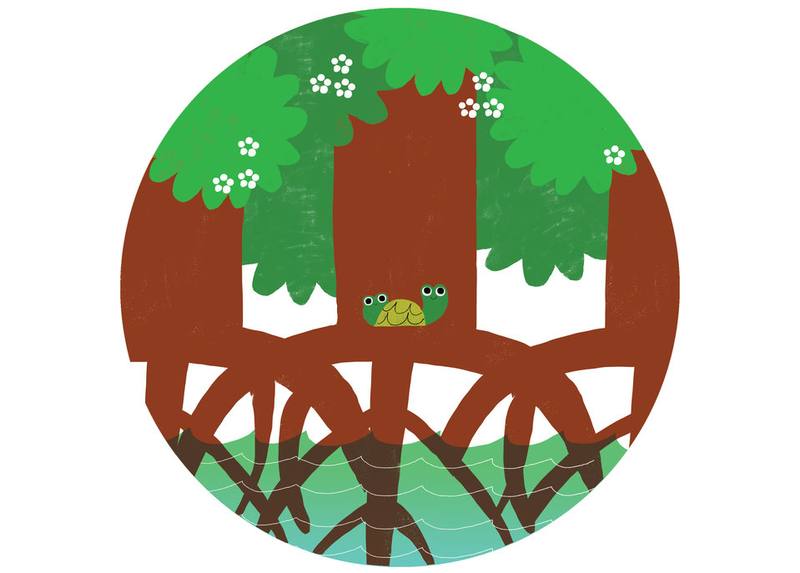 Picture for page 7