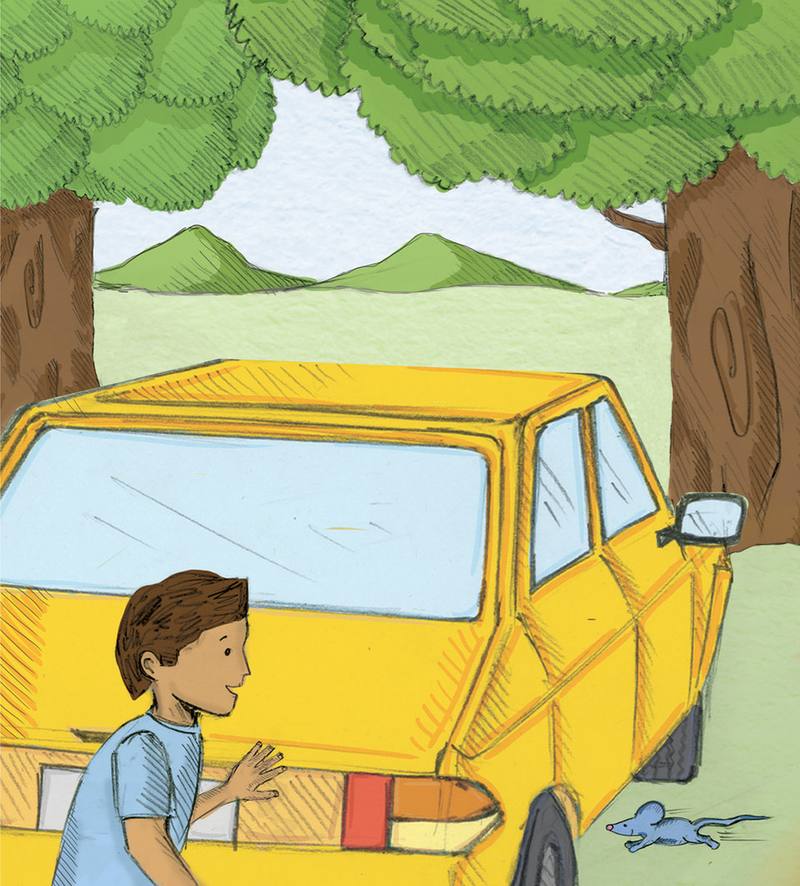 Picture for page 5