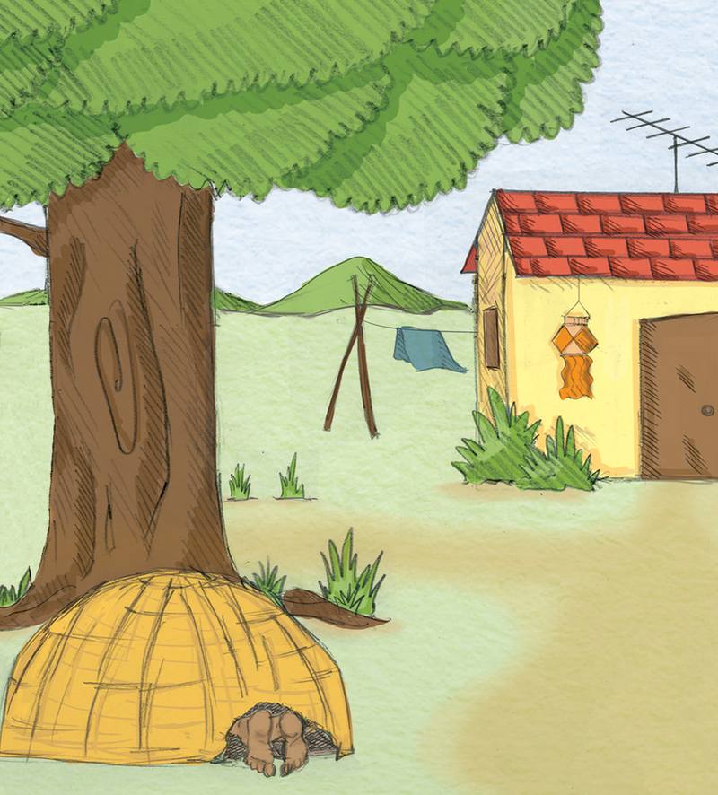 Picture for page 7