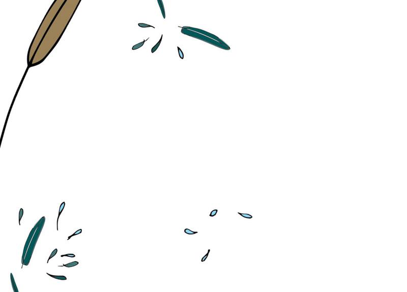 Picture for page 8