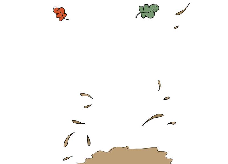 Picture for page 14