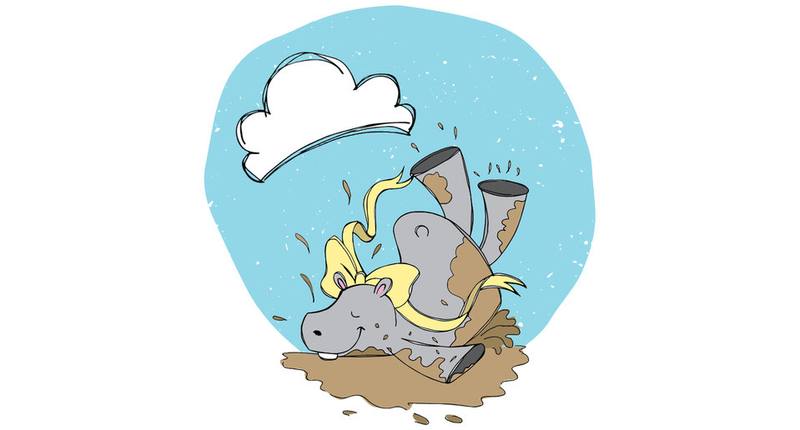 Picture for page 15