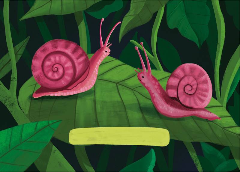 Picture for page 1