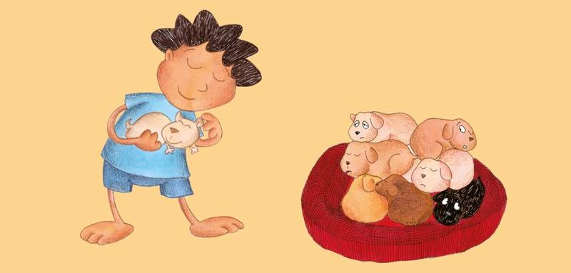 Picture for page 11