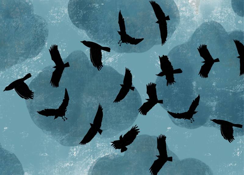 Picture for page 6