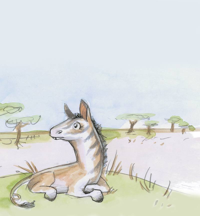 Picture for page 1