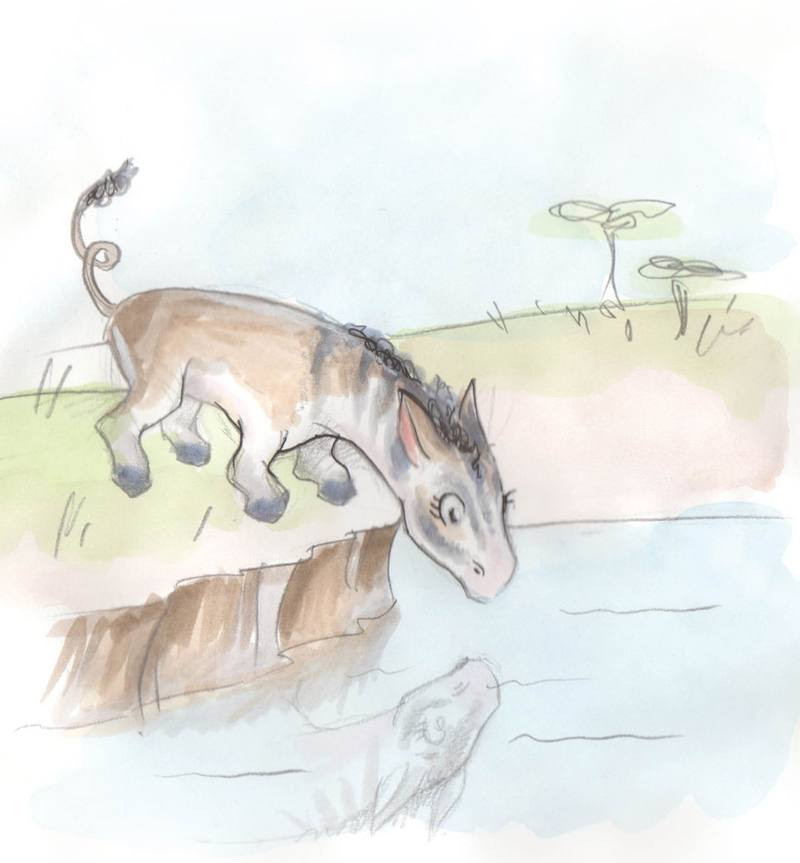 Picture for page 2