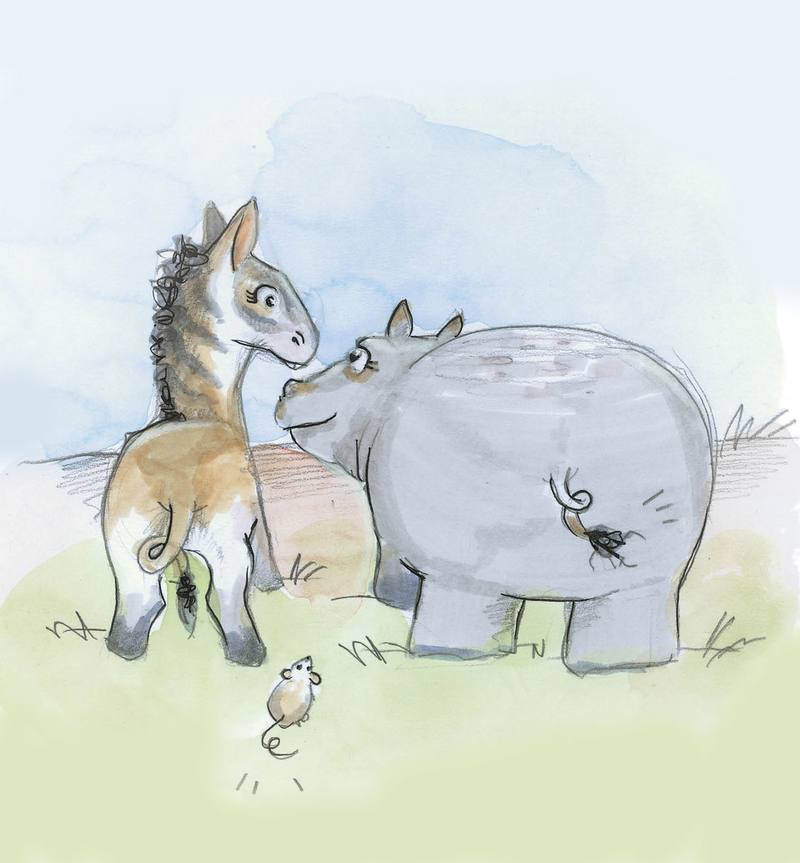 Picture for page 4