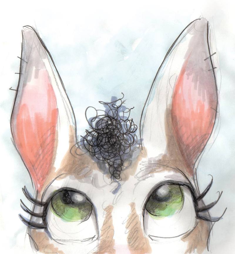 Picture for page 5