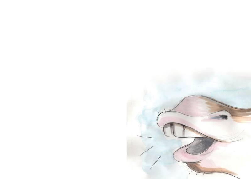 Picture for page 6