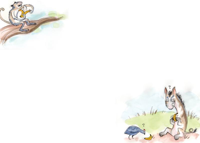 Picture for page 8