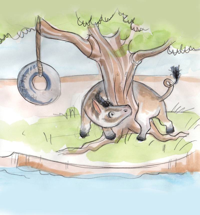 Picture for page 9
