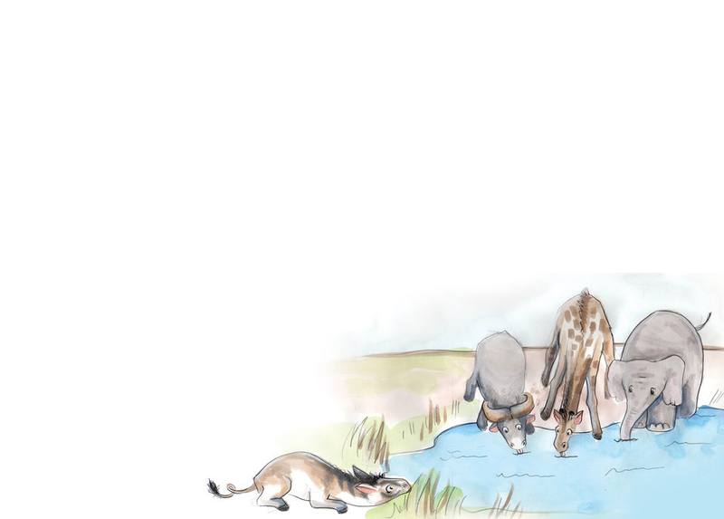 Picture for page 11