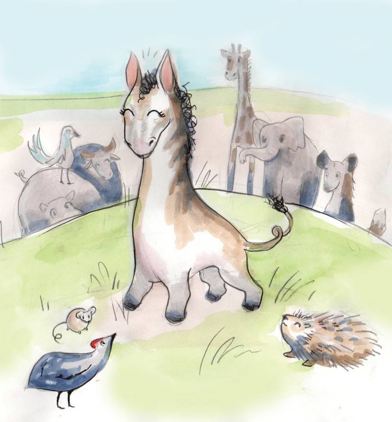 Picture for page 13