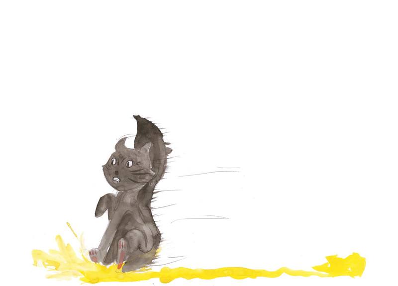 Picture for page 6