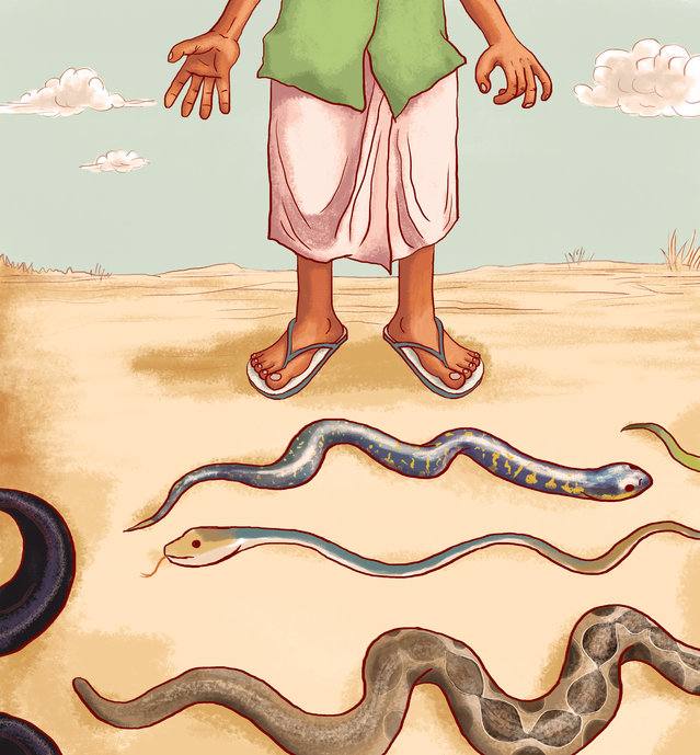 Picture for page 3