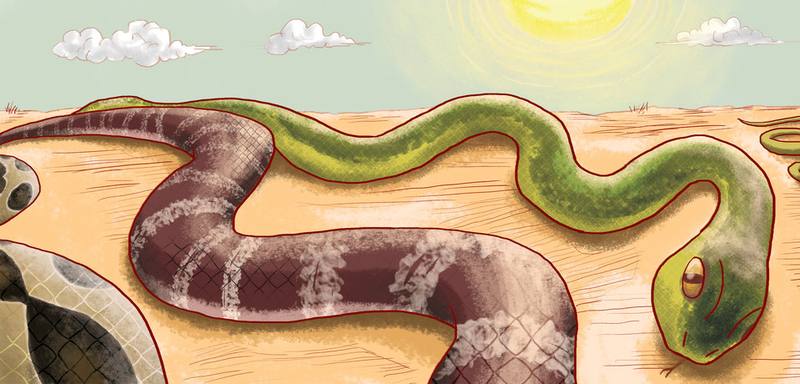 Picture for page 4