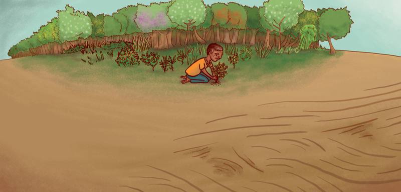 Picture for page 18