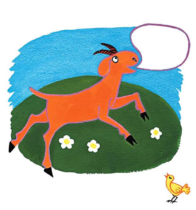 Picture for page 5