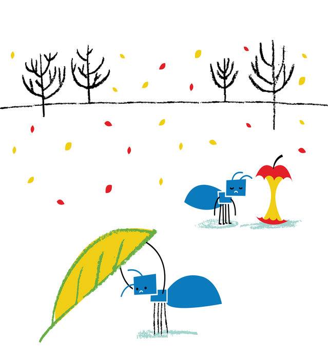 Picture for page 6