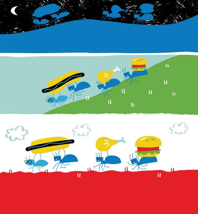 Picture for page 12