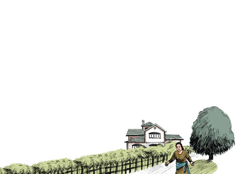 Picture for page 8