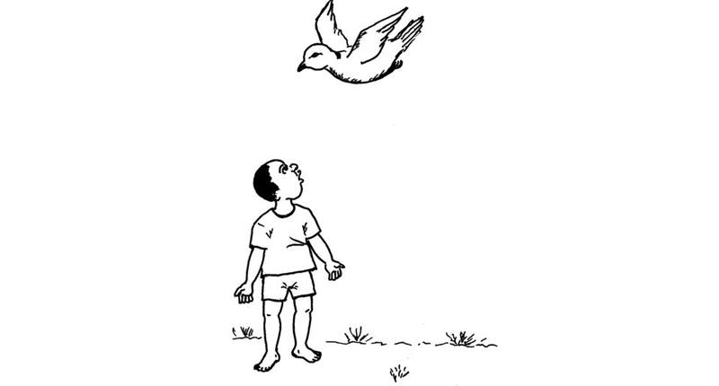 Picture for page 8
