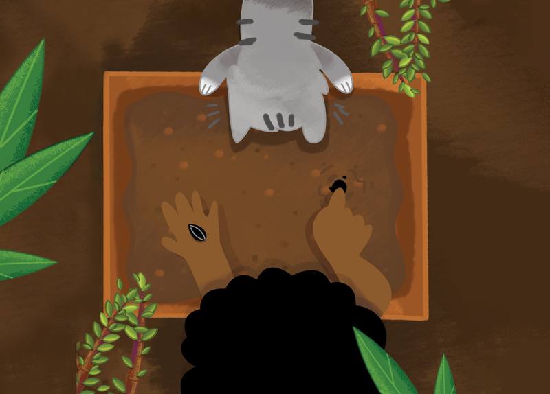 Picture for page 8