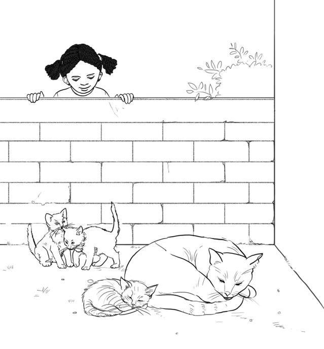 Picture for page 1
