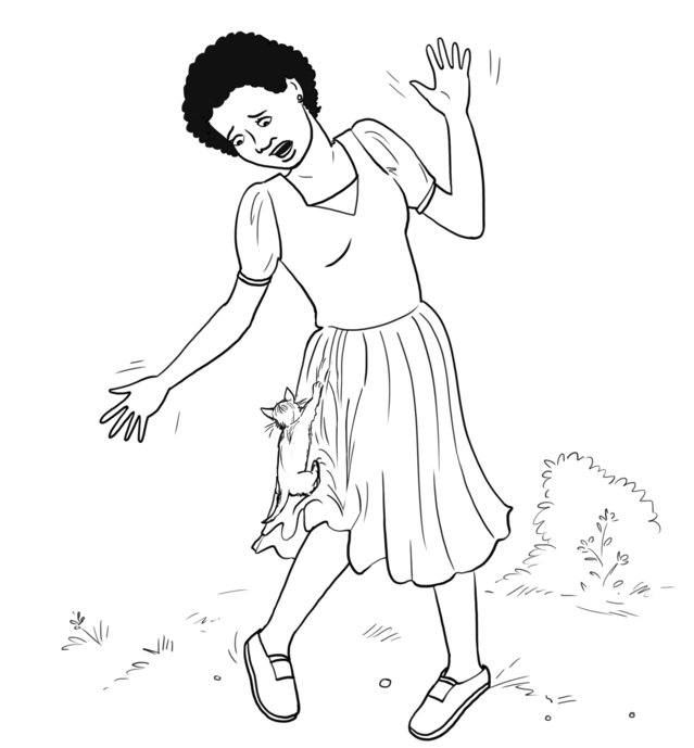 Picture for page 5