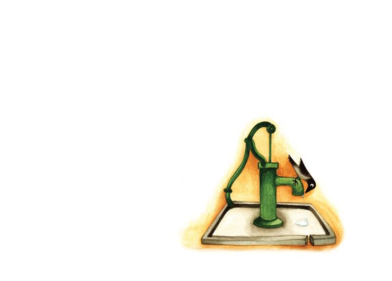 Picture for page 5
