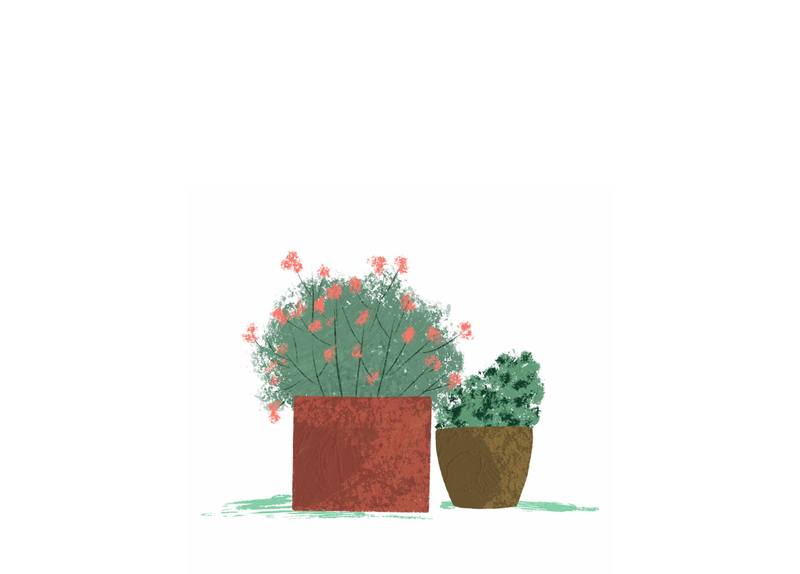 Picture for page 10