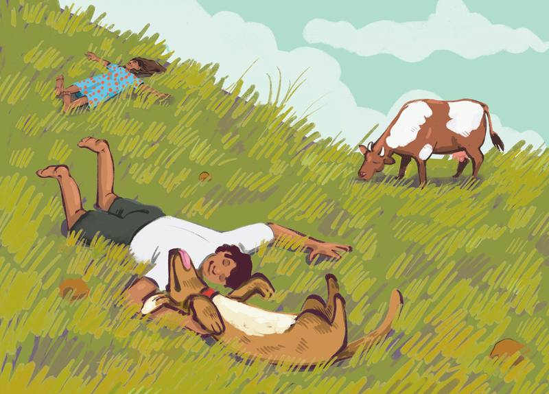 Picture for page 1