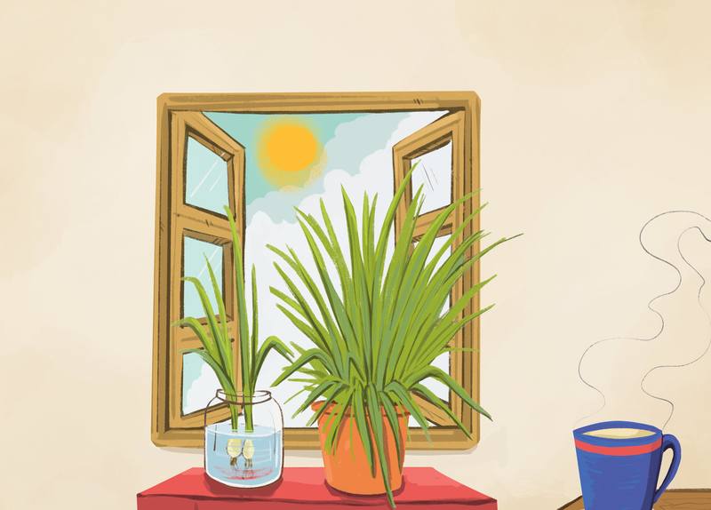 Picture for page 4