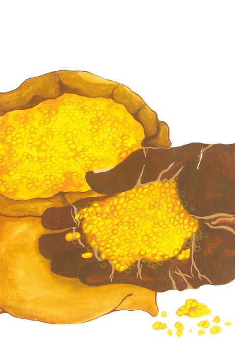 Picture for page 6
